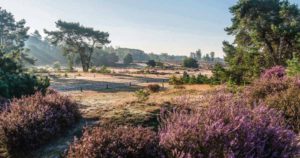 steppen in de natuur