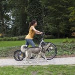 steppen met de honden